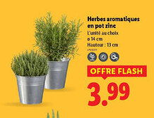 Lidl Herbes aromatiques en pot zinc offre