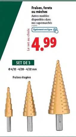 Lidl Fraises, forets ou mèches offre
