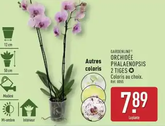 ALDI ORCHIDÉE PHALAENOPSIS 2 TIGES offre
