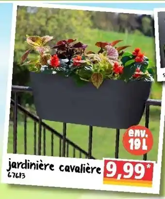 Jardinière cavalière