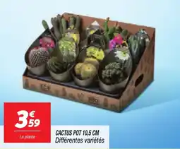 Netto Cactus pot 10,5 cm offre