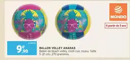 Intermarché Ballon volley ananas offre