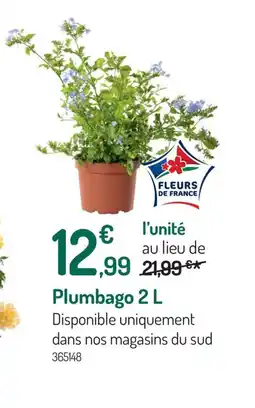 Botanic Plumbago offre
