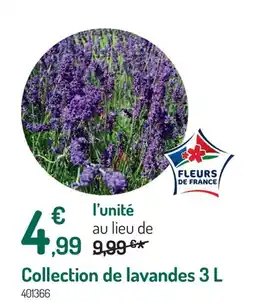 Botanic Collection de lavandes offre