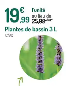 Botanic Plantes de bassin offre