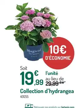 Botanic Collection d'hydrangea offre