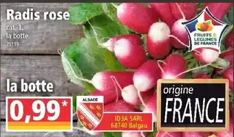 Norma Radis rose la botte offre