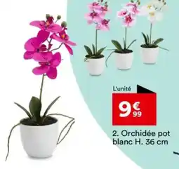 BUT Orchidée pot blanc H. 36 cm offre
