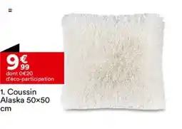 BUT Coussin Alaska 50x50 cm offre