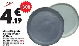 Maxi Bazar Assiette plate Spring Water 027cm offre