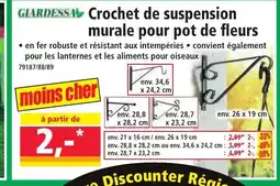 Norma GIARDESSA Crochet de suspension murale pour pot de fleurs offre