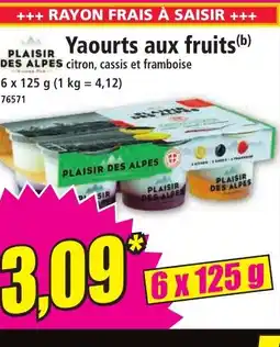 Norma Yaourts aux fruits offre