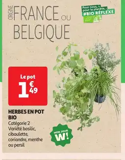 Auchan Herbes en pot offre