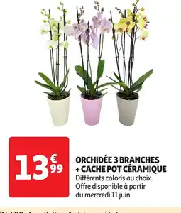 Auchan Orchidée 3 branches + cache pot céramique offre