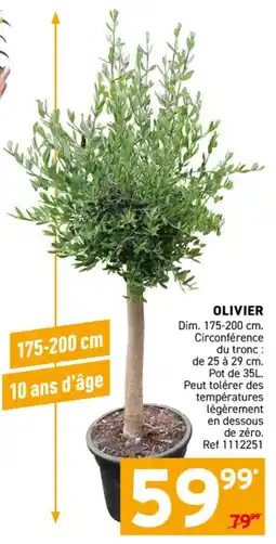 Trafic Olivier offre