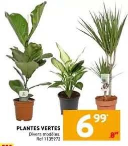 Trafic Plantes vertes offre