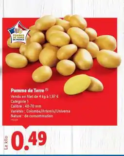 Lidl POMME DE TERRE offre