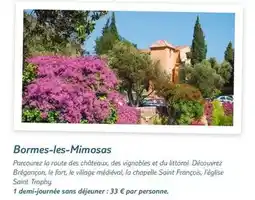 TUI Bormes-les-mimosas offre