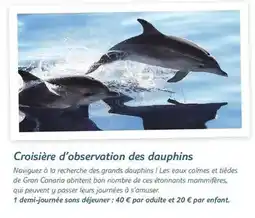 TUI Croisière d'observation des dauphins offre