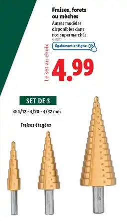 Lidl Fraises forets ou mèches offre