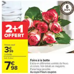 Carrefour Foire a la botte offre