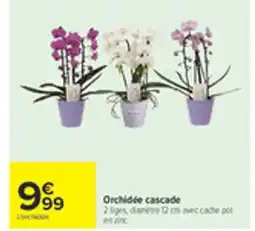 Carrefour Orchidee cascade offre