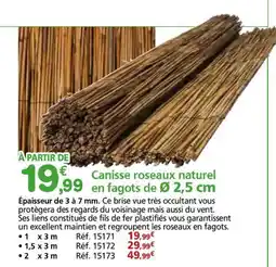 Provence Outillage Canisse roseaux naturel offre