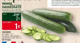 Match Concombre offre