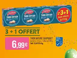 Match SAUPIQUET Thon entier nature offre
