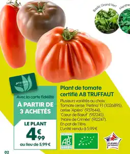 Truffaut AB TRUFFAUT Plant de tomate certifié offre