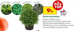 Truffaut Plante aromatique offre