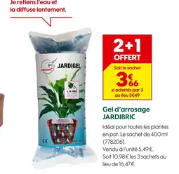 Truffaut Jardibric Gel d'arrosage offre