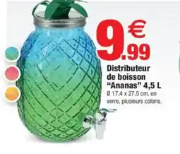 Bazarland Distributeur de boisson "Ananas" offre