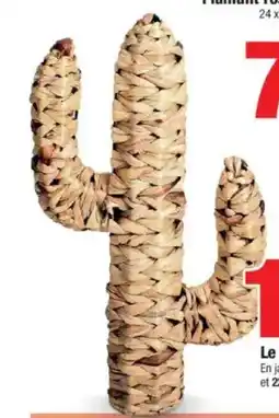 Bazarland Le cactus déco offre