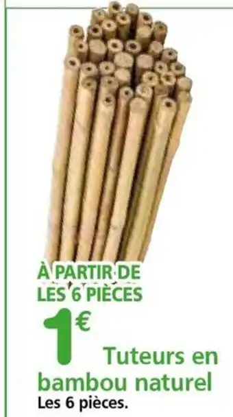 Provence Outillage Tuteurs en bambou naturel offre