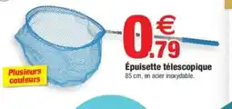 Épuisette télescopique