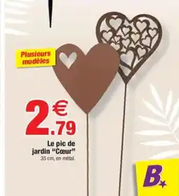 Bazarland Le pic de jardin Cœur offre