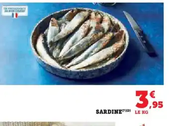 Super U Sardine offre