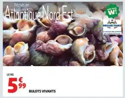 Auchan Bulots Vivants offre