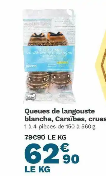 Picard Queues De Langouste Blanche, Caraïbes, Crues offre