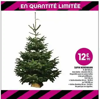 Supeco Sapin Nordmann offre