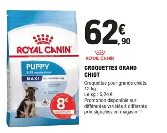 E.Leclerc Jardi ROYAL CANIN Croquettes grand chiot offre
