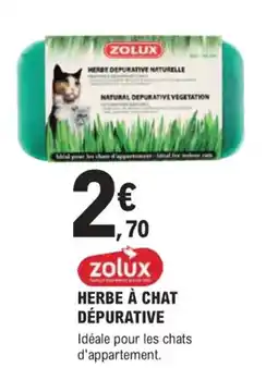 E.Leclerc Jardi ZOLUX Herbe à chat dépurative offre