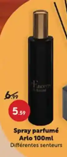 Maxi Bazar Spray parfumé Arlo offre
