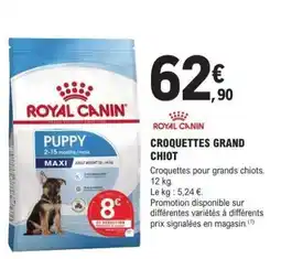 E.Leclerc ROYAL CANIN CROQUETTES GRAND CHIOT offre