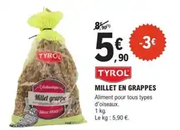 MILLET EN GRAPPES