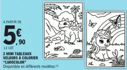 E.Leclerc Na! - 2 mini tableaux velours a colorier offre