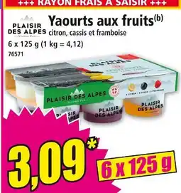 Norma PLAISIR DES ALPES Yaourts aux fruits offre