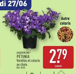 ALDI GARDENLINE Pétunia offre
