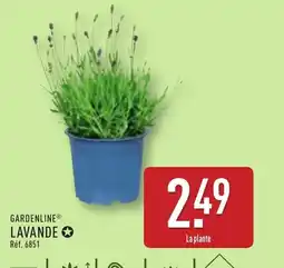 ALDI GARDENLINE Lavande offre